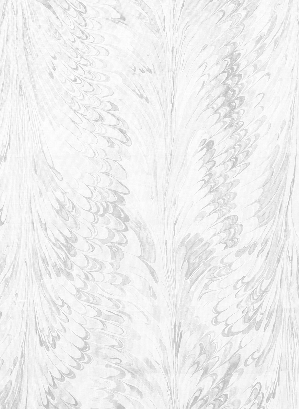 White and gray feather pattern wallpaper with soft ethereal texture and delicate plumes